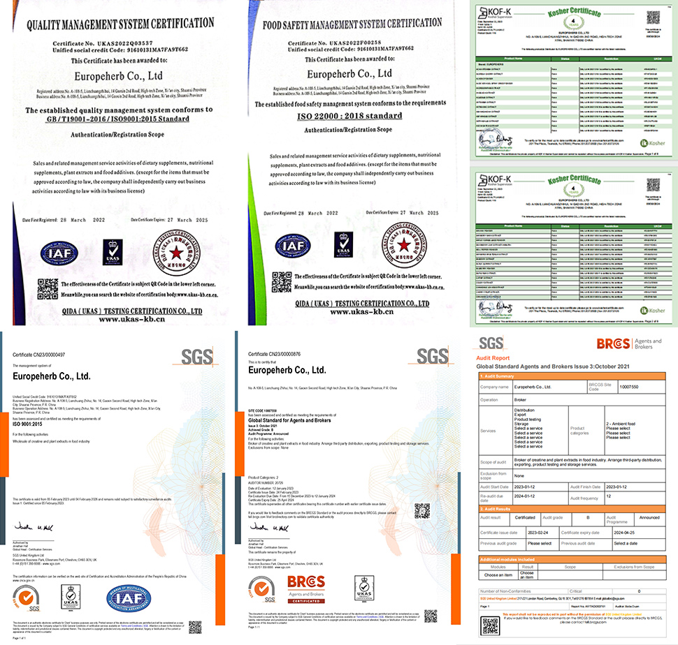 I-Creatine-monohydrate-80mesh-imbeko