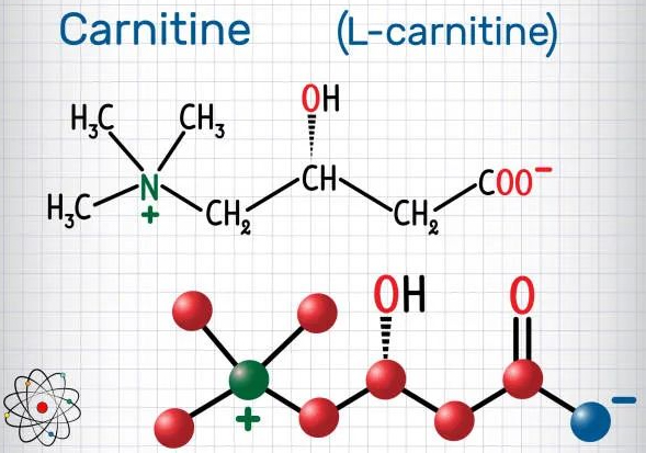 L-Carnitine-Base-3