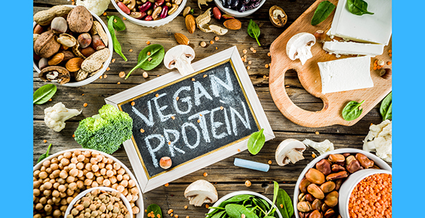 plantbased protein (2)